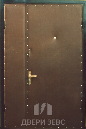 Входная металлическая дверь Зевс Ekonom-05 с винилискожей