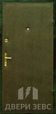 Входная металлическая дверь Зевс Ekonom-09 с винилискожей