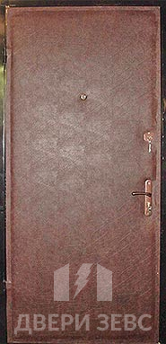 Входная металлическая дверь Зевс Ekonom-10 с винилискожей