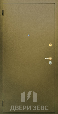 Входная металлическая дверь DACH-10 с порошковым напылением