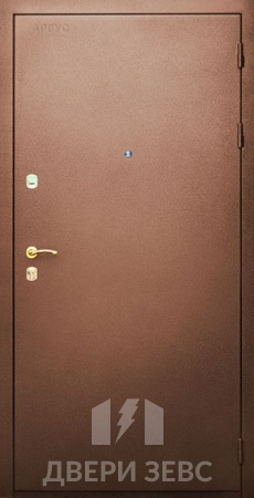 Входная металлическая дверь DACH-14 с порошковым напылением