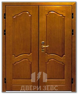 Входная металлическая дверь Зевс D-14