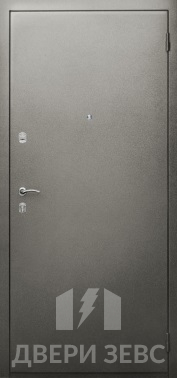 Входная металлическая дверь TEH-10  с окрасом НЦ