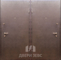 Зица